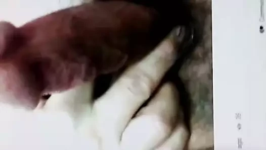 Alabamabimale için haraç