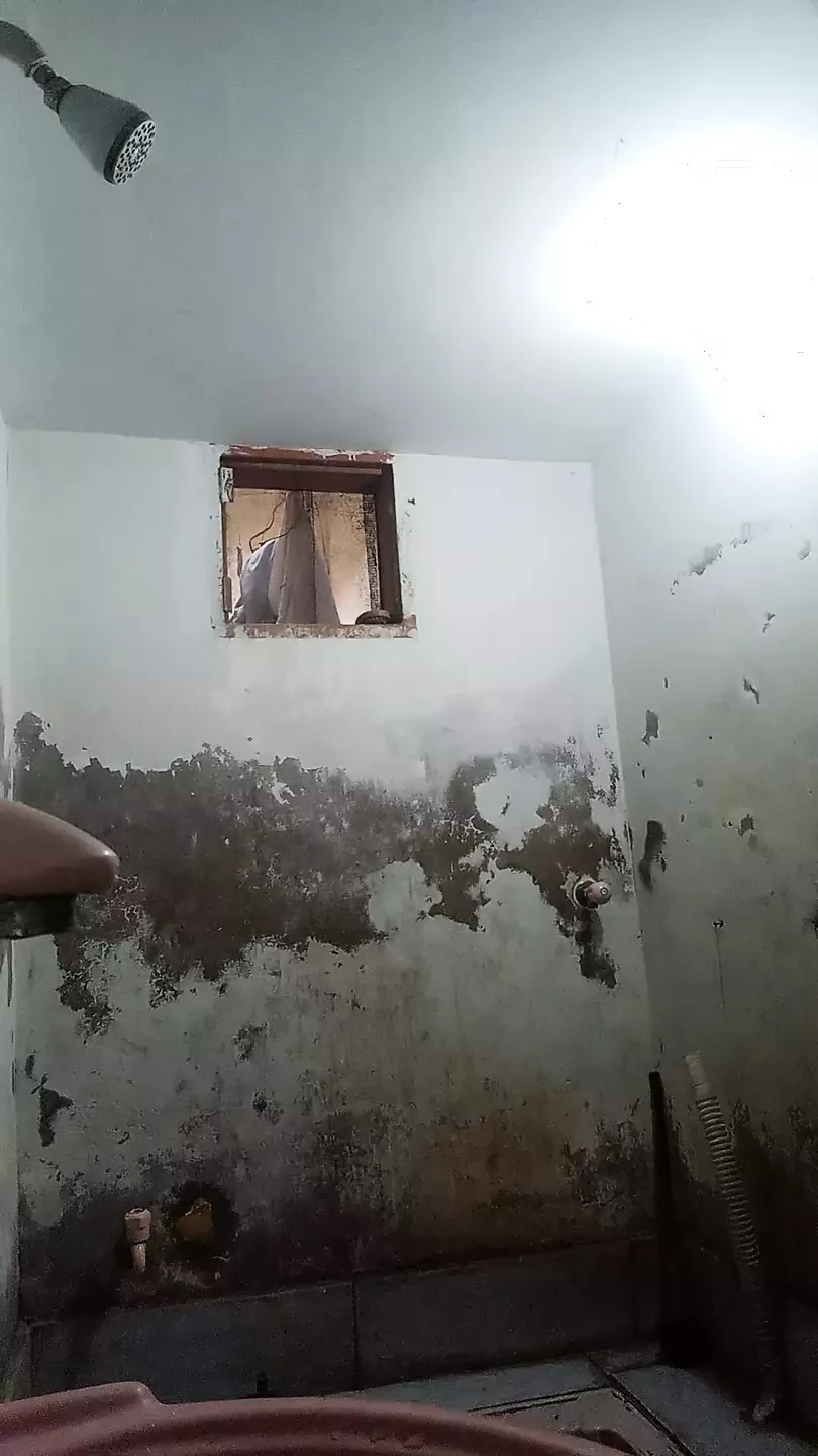 Indian Girl Sexy Videos New 2024