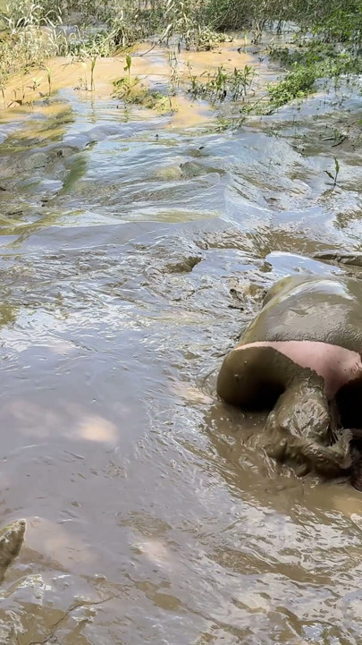 HOW DEEP'S THE MUD ? | Clip 1