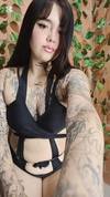 Pregled videozapisa