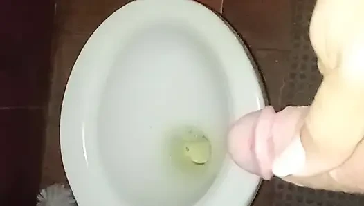 My Morning Pee