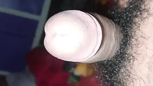 Desi Ranita sucking my penis