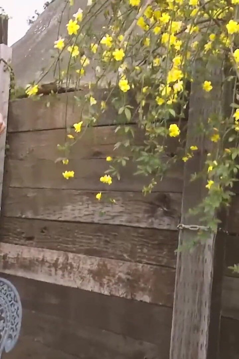 Busty Beauty Asian Scene-2_big-breasted Japanese Woman in Panties Fucked Hard in Her Hairy Pussy