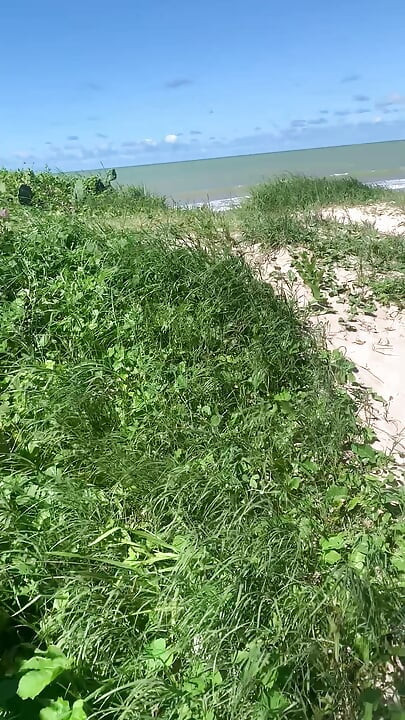 海灘上的大雞巴