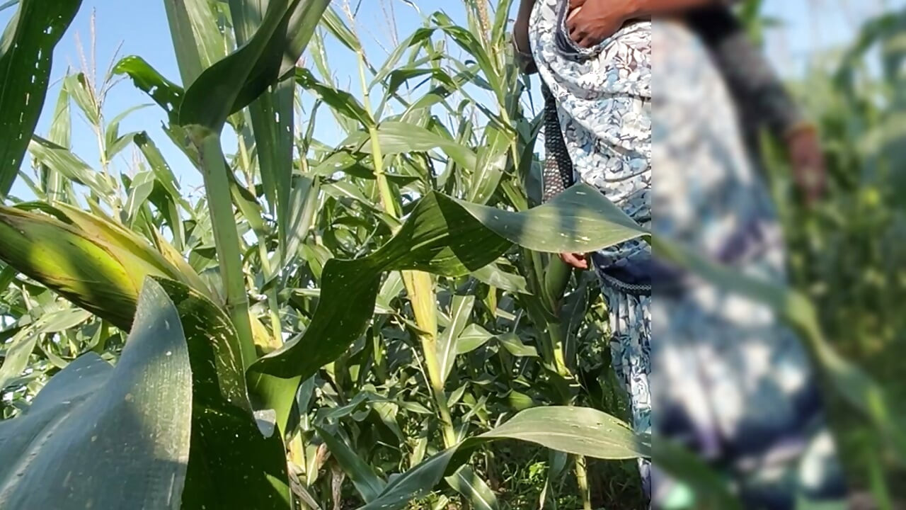 The sister-in-law of the village shows her figure in the open field, a tight-bodied, Indian-looking woman.