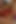 65 yaşındaki İngiliz gilf scarlet61 gökkuşağı dildo ile kendini memnun ediyor