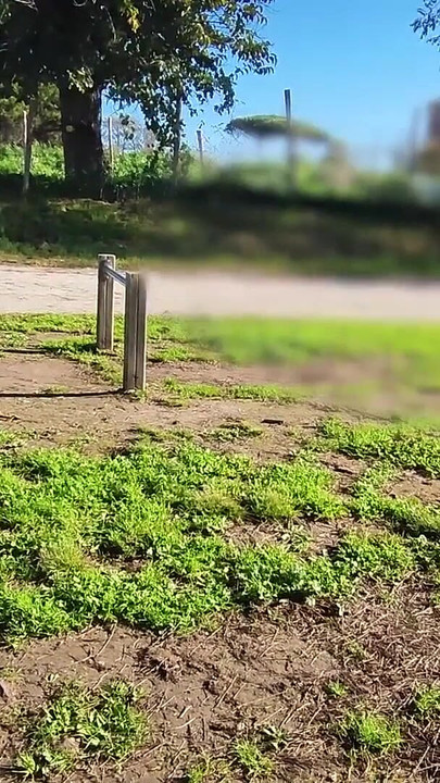 Key moment from "FLASHING my COCK in front a everyone in a PUBLIC PARK and my STEPDAUGHER HELPS me CUMSHOT - REAL SEX RISKY"