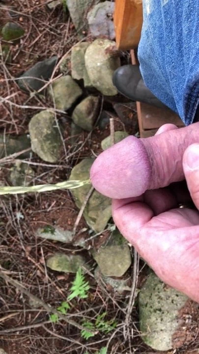 Pissing in the woods