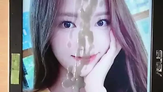 Wjsn bona döl haraç