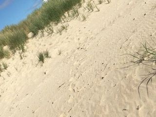 Vista rápida nudista de playa Studland