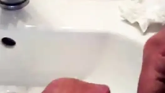 Yarak binicisi