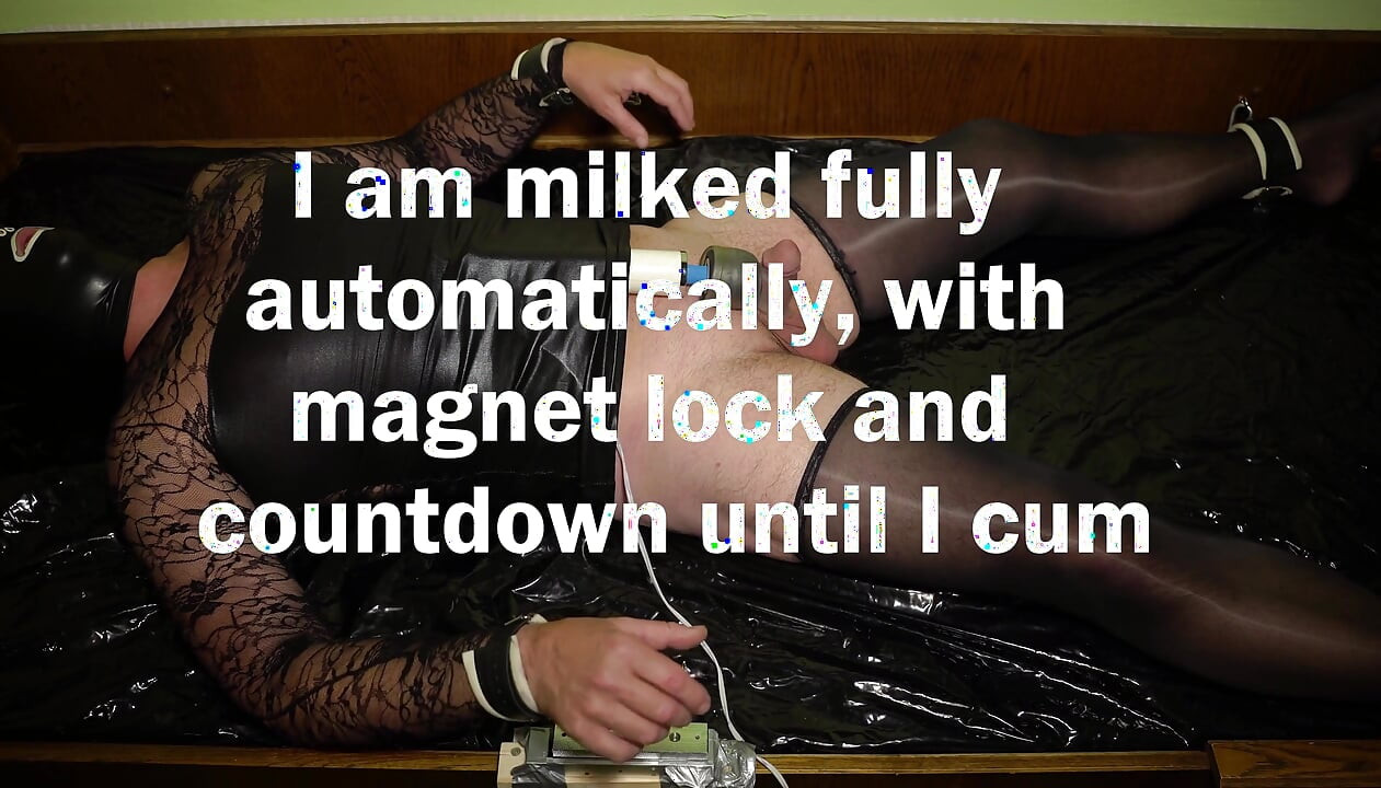 Home Assistant Melkt Meinen Schwanz