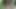 Desi Indian bhabhi caught fingering In Forest By Stranger