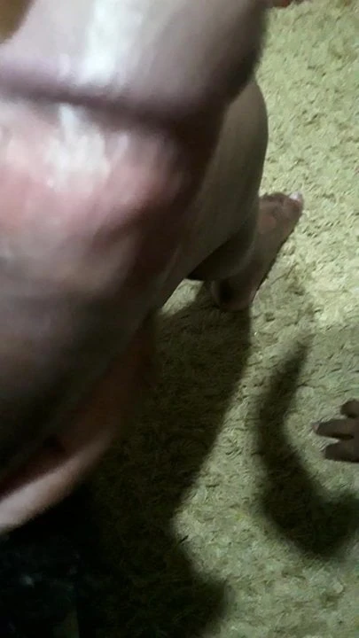 QUE BOCA