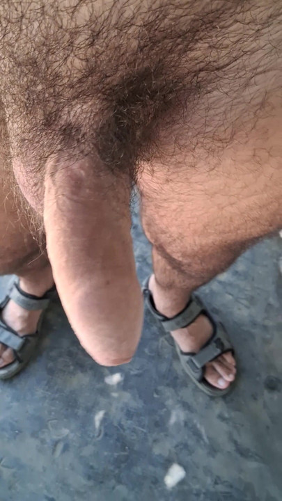 Penis and hairy butt
