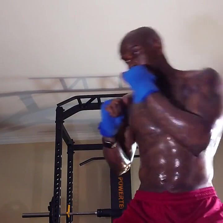 Boxing Workout Today an Ever-changing Integrated Training Approach Provides a Systematic and Progressive Approach to Fitness