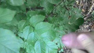 Cumming en las hojas del bosque
