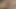 Secretdreamsfuta Intense Anal Sex, Big Hot Ass, Fucking, Huge Cock, Tight Ass, Intense Sex, Sweet Pleasure