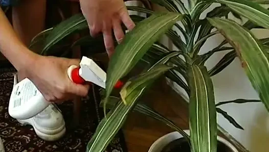 Ibu rumah tangga pekerja keras bermain koboi dan pelacur