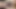 Sissy Ylvis88 in lingerie taking 12 inch dildo