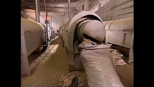 Hot Sexy Blonde Sluts Banged Hard!