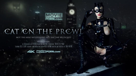 Catwoman auf der suche (filmporno)