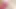 pink chastity anal dildo squirt