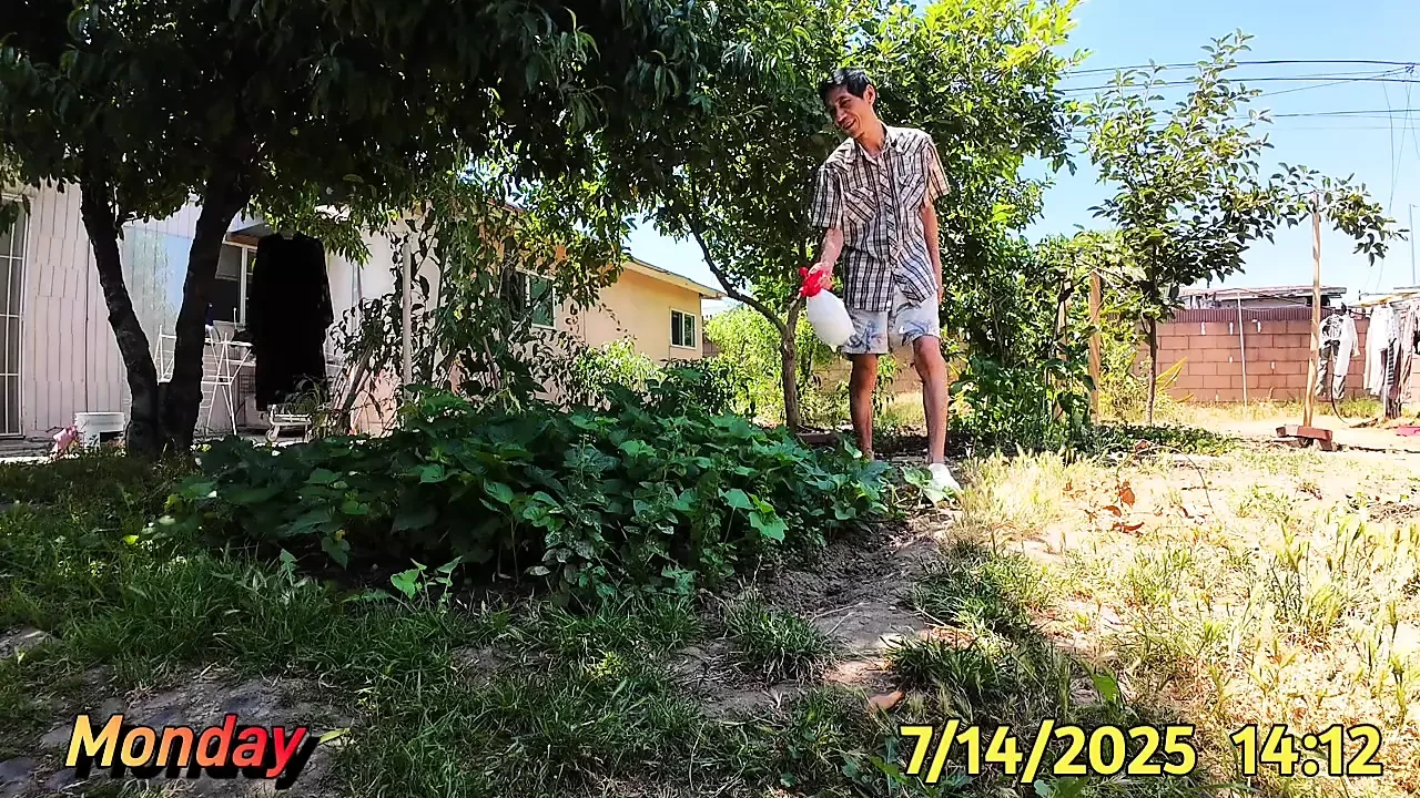 好时光