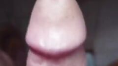 Penis size