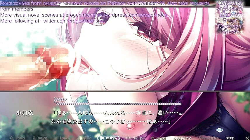 Hakoniwa route1 scéna 1-7