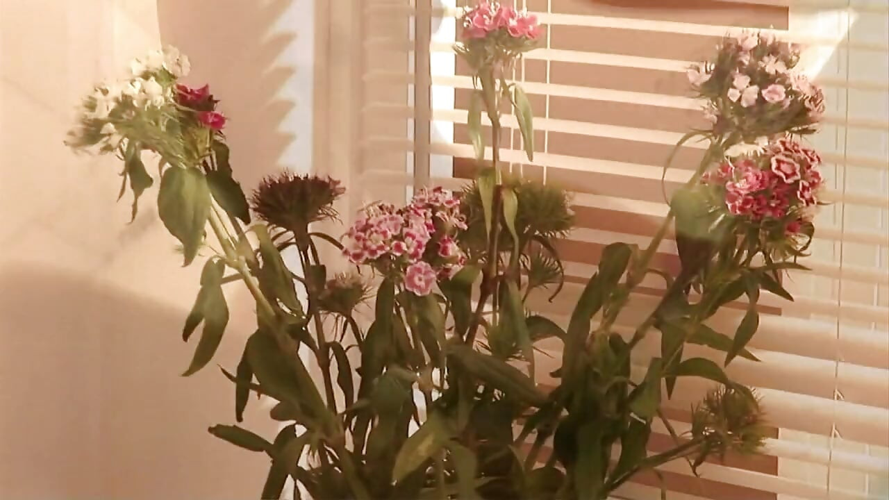 Keni Styles menghadapi dua cewek seksi dan semok