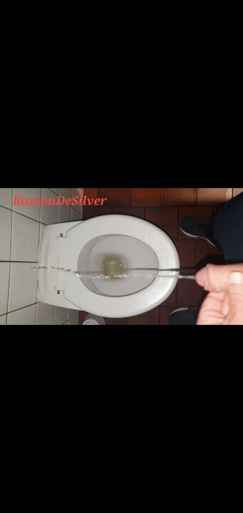 Master Ramon fulfills a slave's wish in a public toilet and he was then allowed to lick everything clean, why not