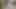 Muhabir yeni haberi haber için götünü sunuyor! Sert seks!
