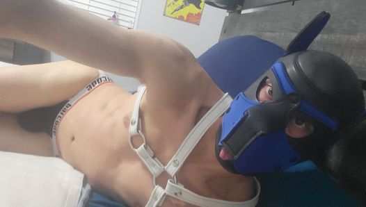 solo pup watching porn restrained