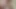 How Much I Love Dressing Like a Slut, Sucking Cock and Taking His Cum in My Mouth