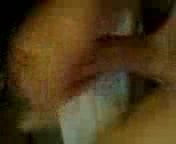 plaisir solo1