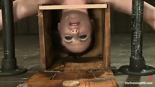 Sophie Monroe Day 4 Endurance and Predicament Testing with Some Help From Orlando