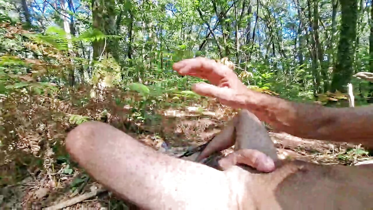 Una hora de sacudidas en medio del bosque, remi06cam4