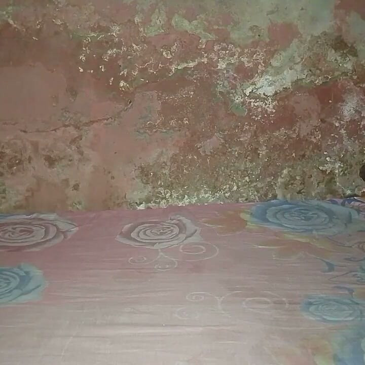 My Bed Has Taken the Place of My Girlfriend