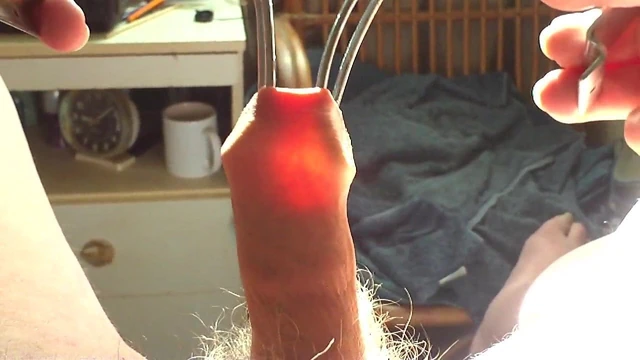 Foreskin in sunlight - 2 minute video