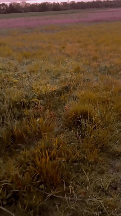 Lång naken promenad ner för banor till floden
