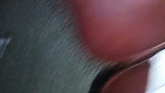 Yavru vahşi kendisi ile oynuyor