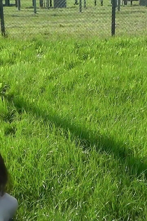 Chubby Joey's First Video