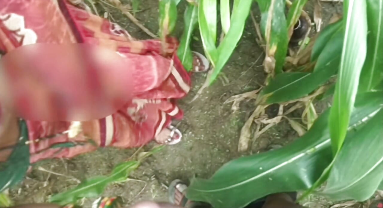 Sister-in-law called me to the field of maize today and sister-in-law sucked my cock and removed the water, then I picked up sister-in-law's two legs and fucked my sister-in-law loudly.