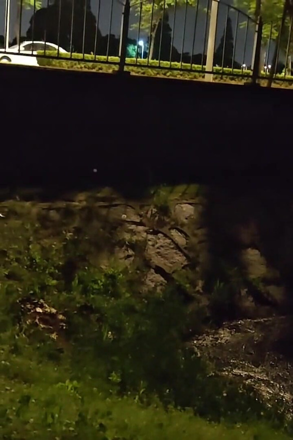 Jerking off with Bare Ass Next to a Busy Road and Cumming