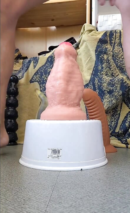 a selection of dildos