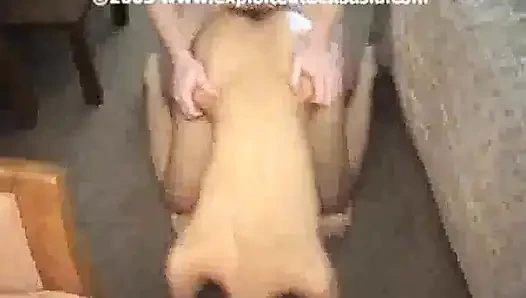 Anal Party 5! 2