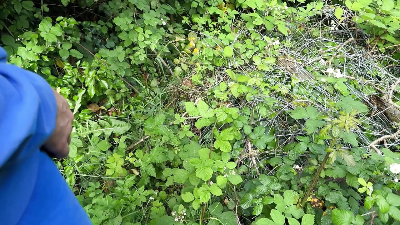 Shameless girl helps the guy to pee outdoor compilation