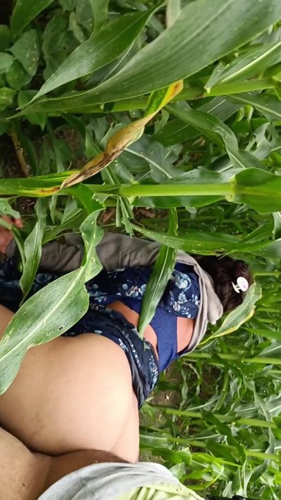 Gaon ka shuddh real desi Makka ki khet ka sexy video bhabhi apni Badi gand Apne devar se marva rahi hai Makka ke khet mein bhabhi ki gand ma | Clip 2