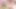 20yo Thai Model Is Super Shy for Her First Porn!